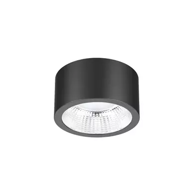 Downlight 237